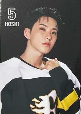 25home随机卡 荣E