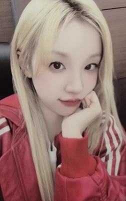 kms签售5.0琦 ver.4