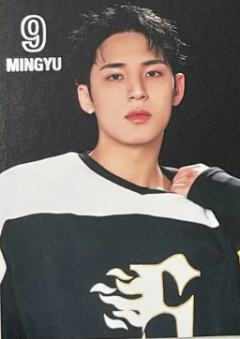 25home随机卡 奎E