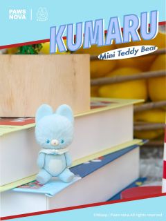 MINI TEDDY BEAR（蓝色）