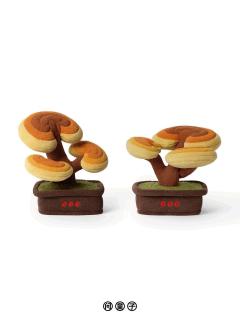 灵芝-小-资料图