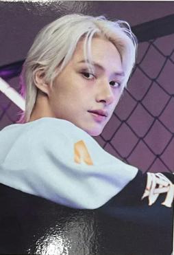 25home随机卡 俊D