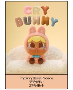 Cryteddy Blister Package系列-资料图