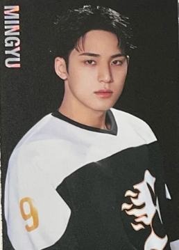 25home随机卡 奎C