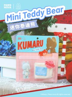 MINI TEDDY BEAR吊卡系列-资料图