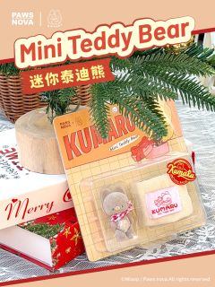 MINI TEDDY BEAR吊卡系列-资料图