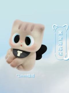 lucky组-黑金渐层咪