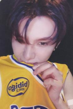 ms香港蛋糕店 酱 咬衣服ver.