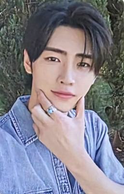 d社a版固配4 ver.C