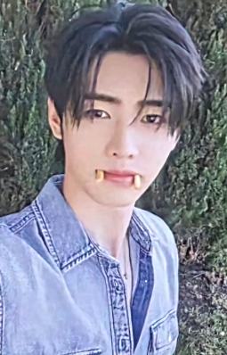 d社a版固配4 ver.B