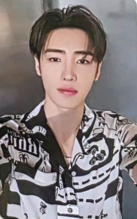 d社b版固配4 ver.C