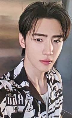 d社b版固配4 ver.B