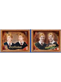 乔治·韦斯莱&弗雷德·韦斯莱（隐藏款）-永恒系列光栅冰箱贴盲盒