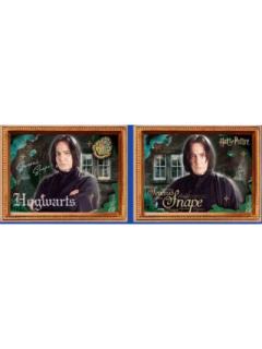 西弗勒斯·斯内普（隐藏款）-永恒系列光栅冰箱贴盲盒