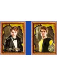 塞德里克·迪戈里（常规款）-永恒系列光栅冰箱贴盲盒