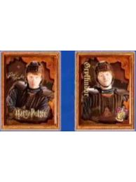 罗恩·韦斯莱（常规款）-永恒系列光栅冰箱贴盲盒