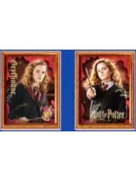 赫敏·格兰杰（常规款）-永恒系列光栅冰箱贴盲盒