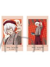 条野采菊相卡-摄影TAKE2