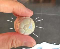 超级隐藏款-彩糖龟