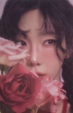 场周随机卡 ver.D