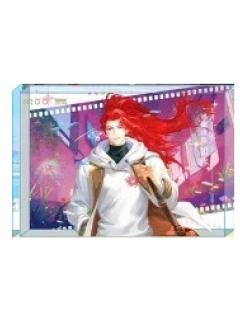 韩信亚克力砖-vivo联动十周年