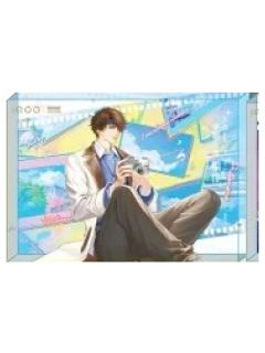 赵云亚克力砖-vivo联动十周年