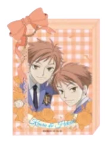 常陆院光&常陆院馨透卡-原谷动漫系列