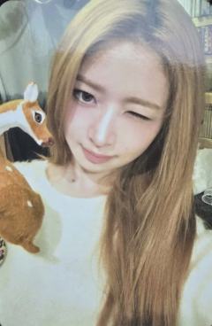 sbs/mbc年末逆应援 怜