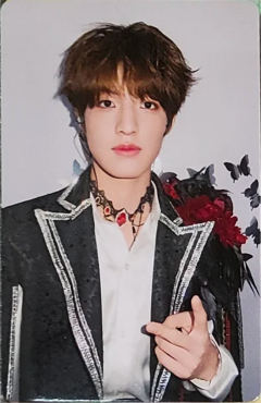 one有引力单人款小卡 禹ver.D