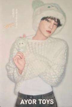 AYORTOYS兔闪闪二代卡 ver.C