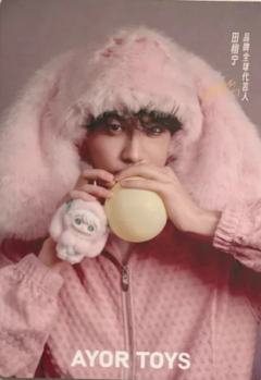 AYORTOYS兔闪闪二代卡 ver.A