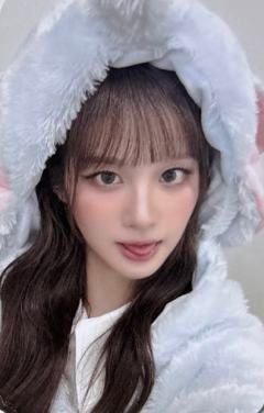 el签售2.0 3 小飞象ver.