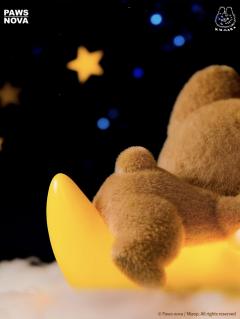 月亮小夜灯-资料图