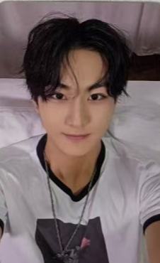 d社b版固配6 ver.C