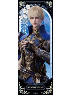 杨文昭(神域纪铭)光影胶片-星穹绘境系列