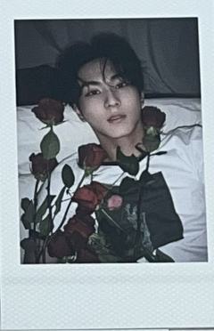 d社b版拍立得6 ver.C