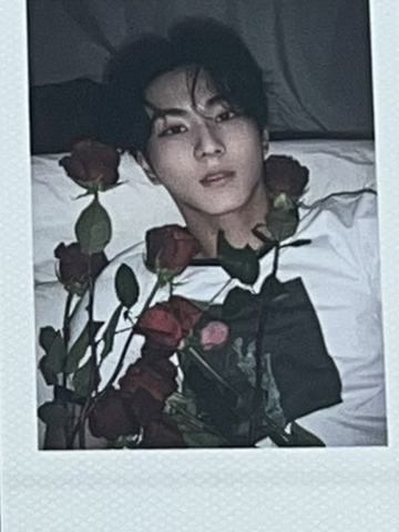 d社b版拍立得6 ver.C