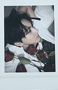 d社b版拍立得6 ver.B