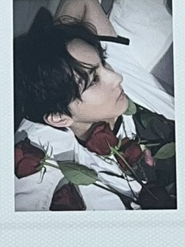 d社b版拍立得6 ver.B