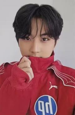 d社a版固配6 ver.A