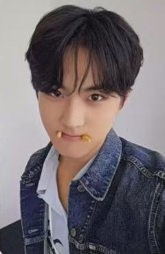 d社a版固配6 ver.B