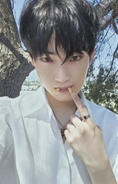 d社a版固配5 ver.B