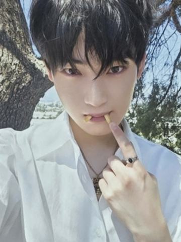 d社a版固配5 ver.B