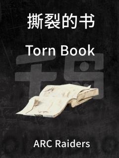 撕裂的书