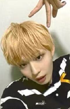 熊宝签售6 猫耳朵ver.