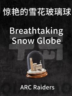 惊艳的雪花玻璃球