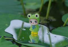 小青蛙
