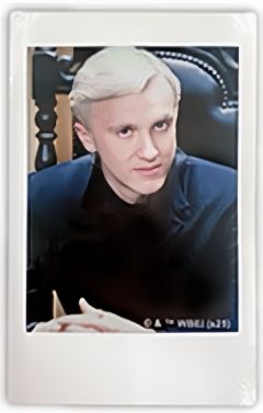 德拉科·马尔福拍立得F-2025东京展德拉科个人池