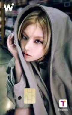 wowpass交通卡 志