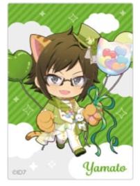 二阶堂大和透卡-十周年庆纪念